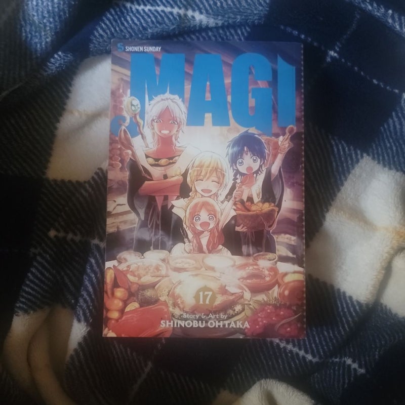 Magi: the Labyrinth of Magic, Vol. 17