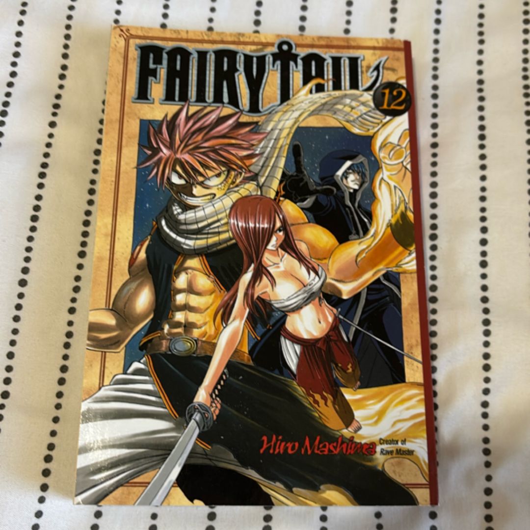Fairy Tail 12