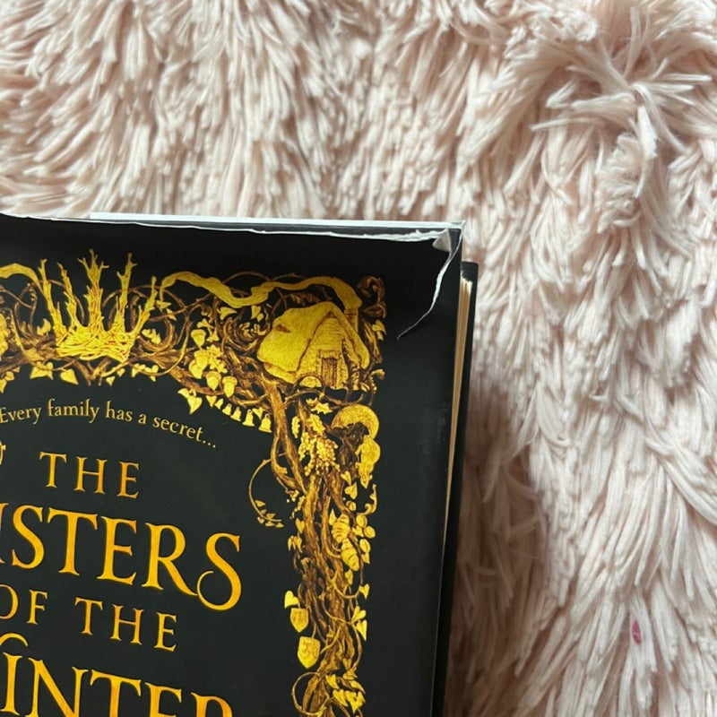The Sisters of the Winter Wood
