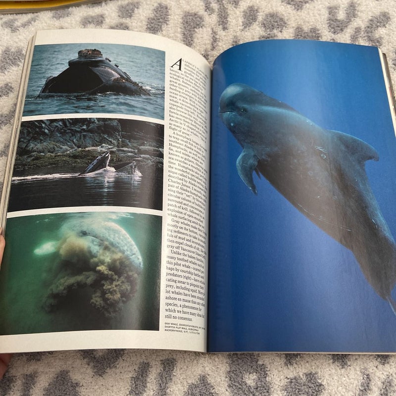 National Geographic Vol 174, No 6 Dec 1988