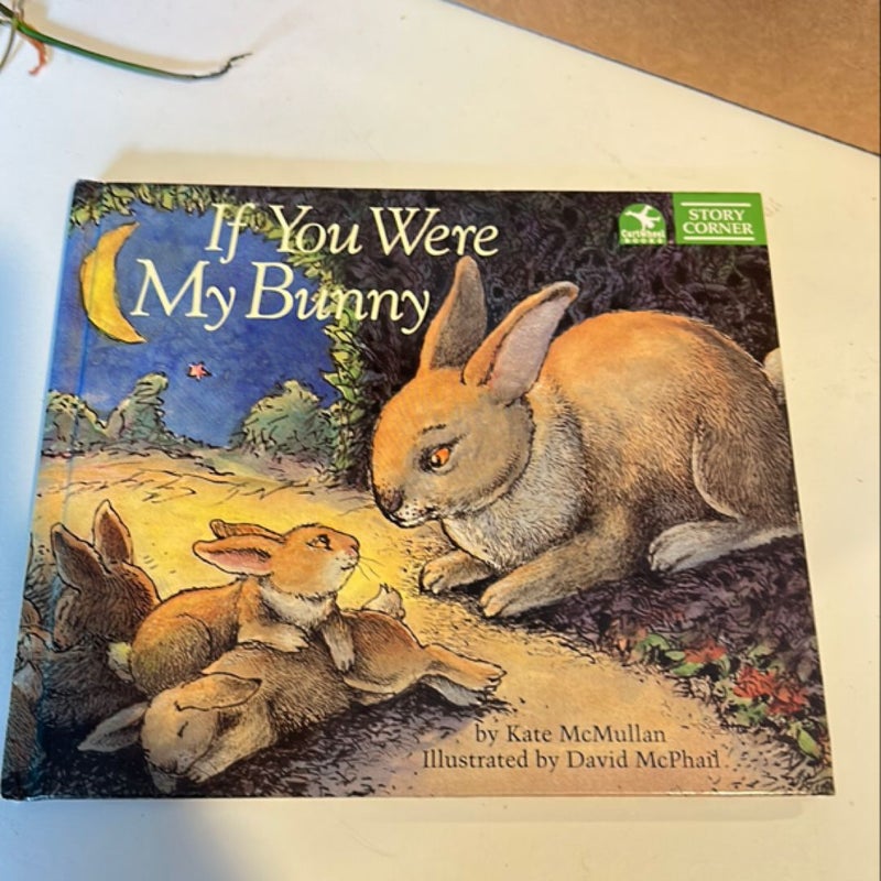 If You Were My Bunny 