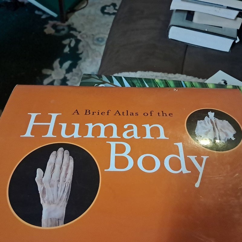 Human Anatomy and Physiology