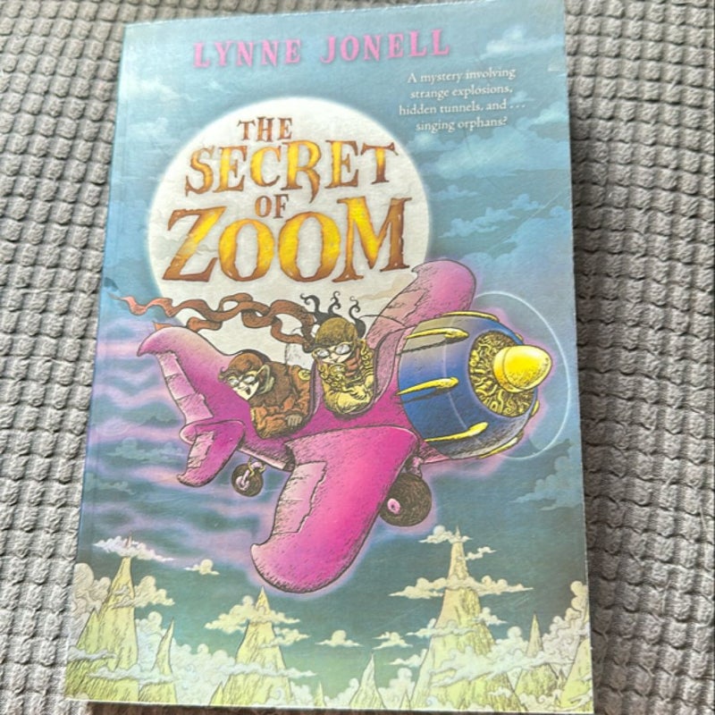 The Secret of Zoom