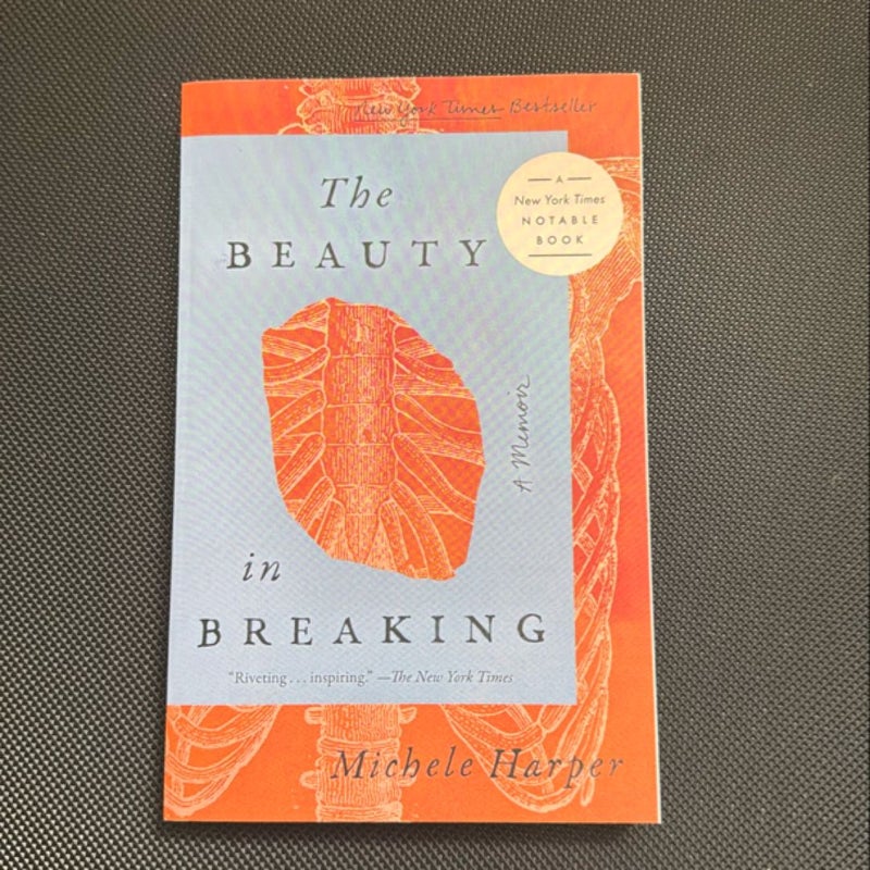 The Beauty in Breaking