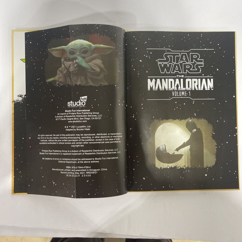 Star Wars: the Mandalorian