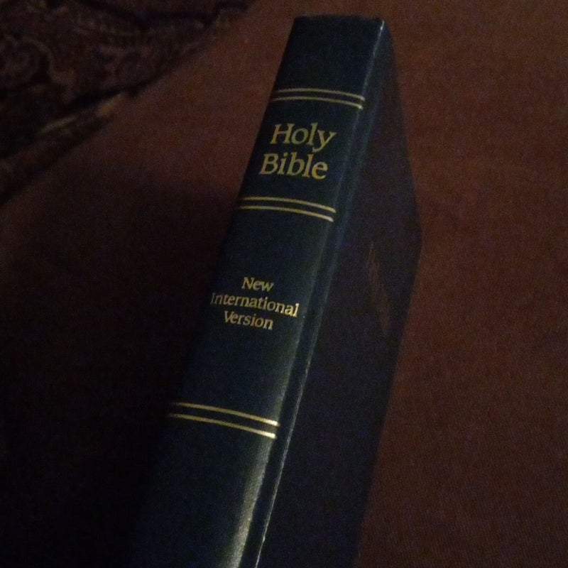 Niv Pew Bible Navy Hardcover