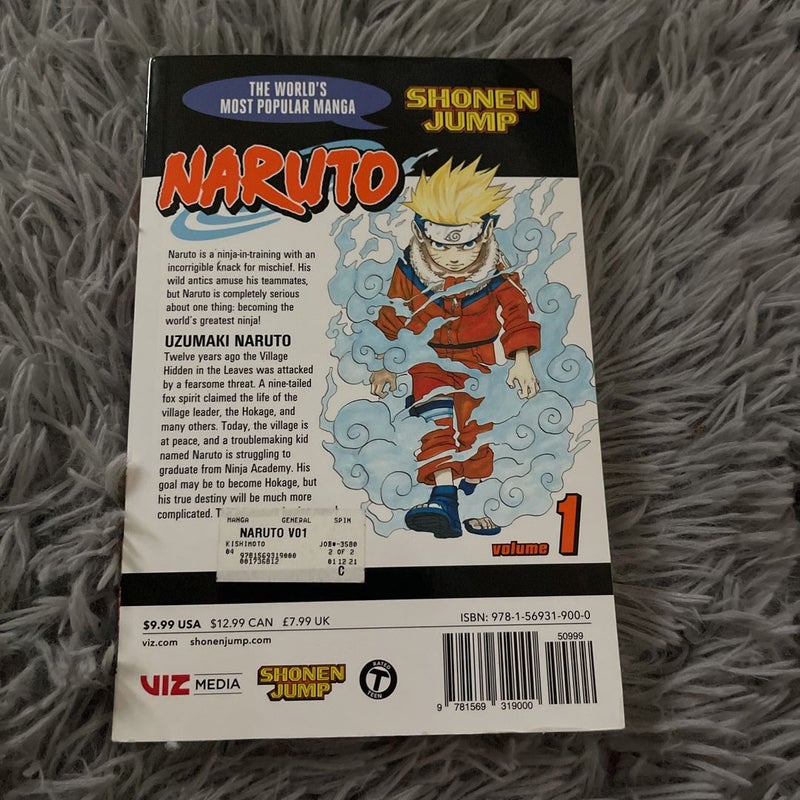 Naruto, Vol. 1