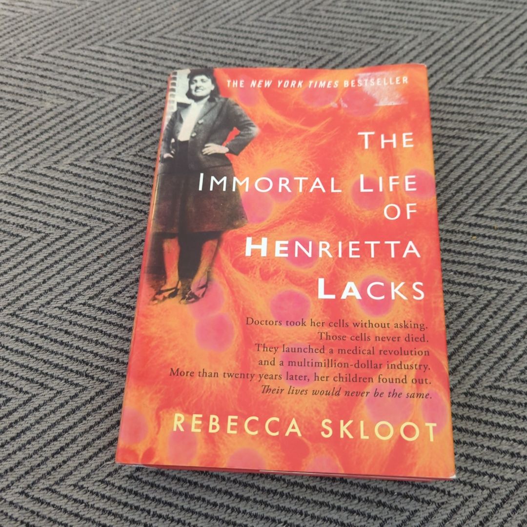 Sale image for 89163f1b-7b1c-4868-a232-9a848573406a-6oHU4JDNbBXyuUAOE6ESO8rbTnn2