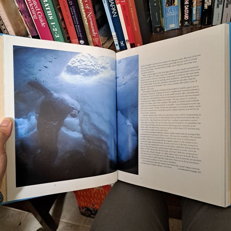 Realms of the Sea