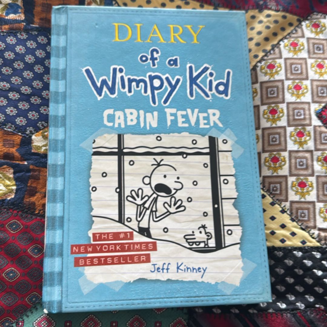 Diary of a Wimpy Kid # 6