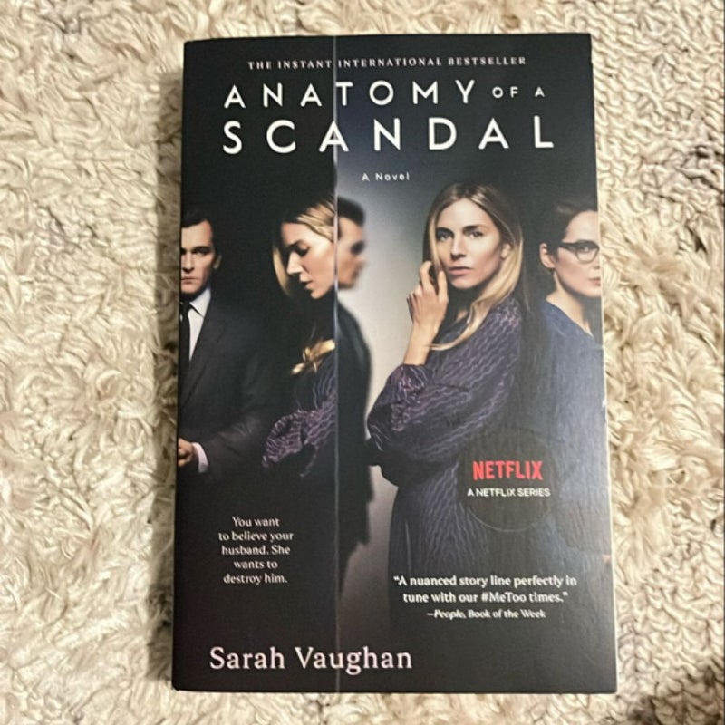 Anatomy of a Scandal