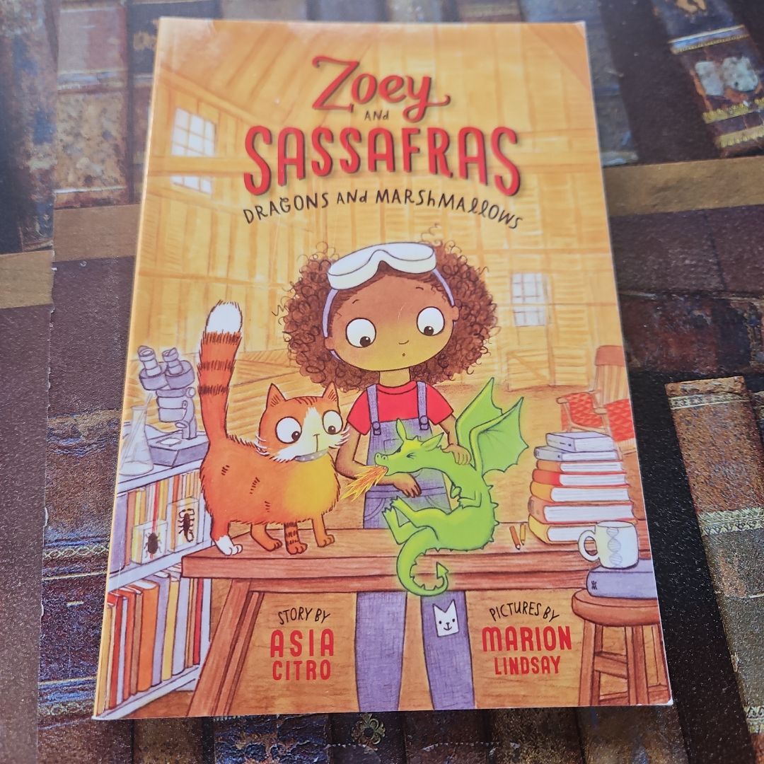 Dragons and Marshmallows