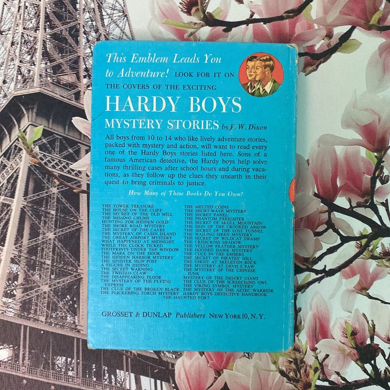 The Hardy Boys