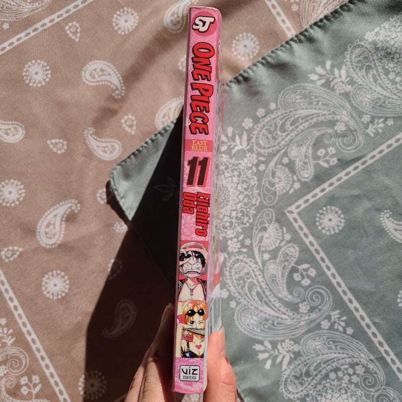 One Piece, Vol. 11