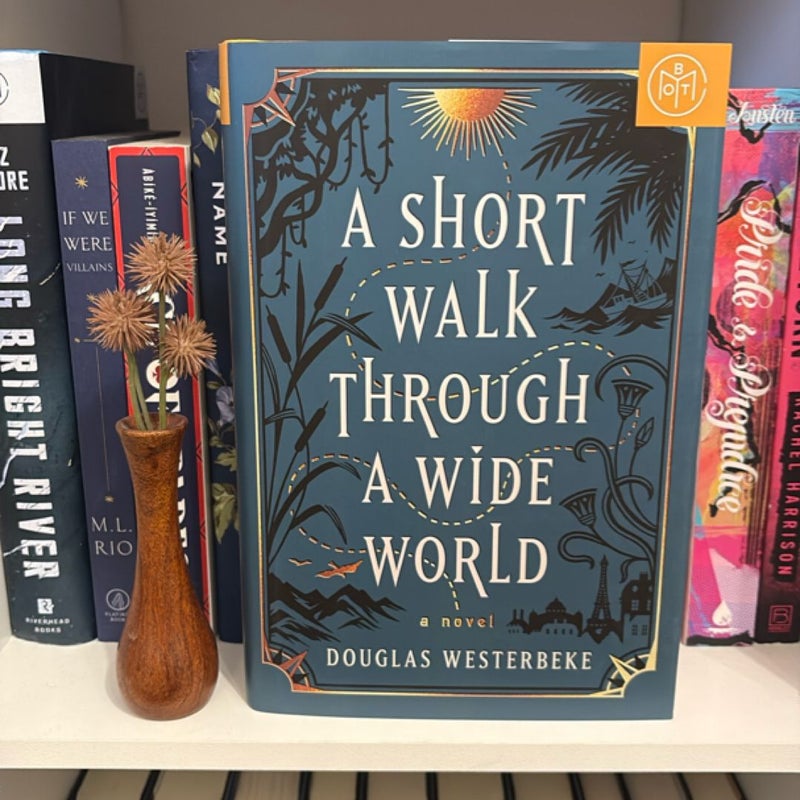 A Short Walk Through a Wide World