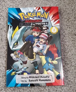 Pokémon Adventures: Black 2 and White 2, Vol. 1