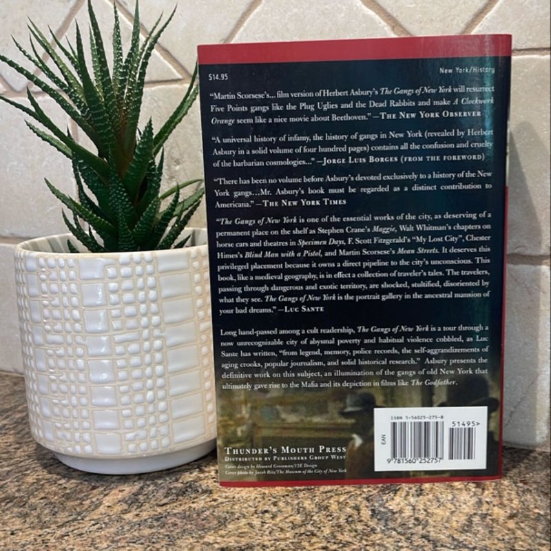 The Gangs of New York