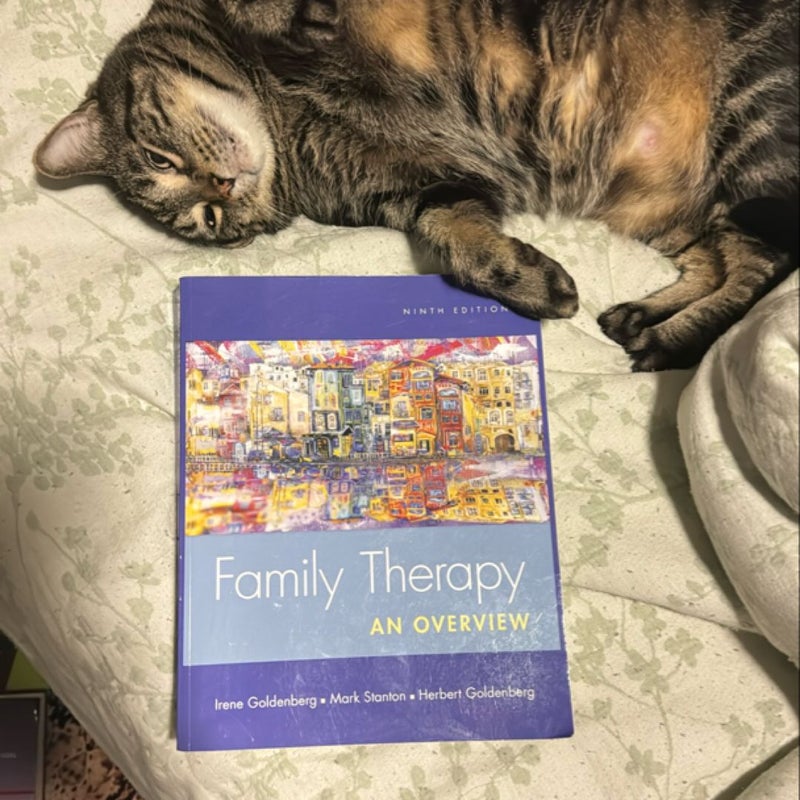 Family Therapy: An Overview 