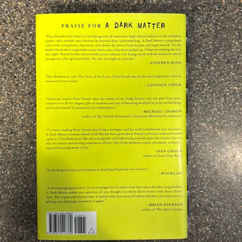A Dark Matter
