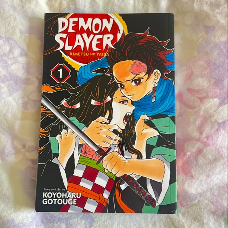 Demon Slayer: Kimetsu No Yaiba, Vol. 1