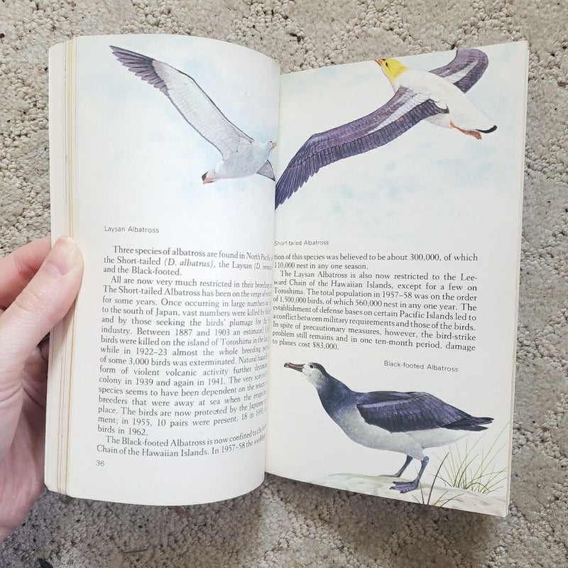 Knowledge Through Color: Sea Birds (Bantam Edition, 1974)