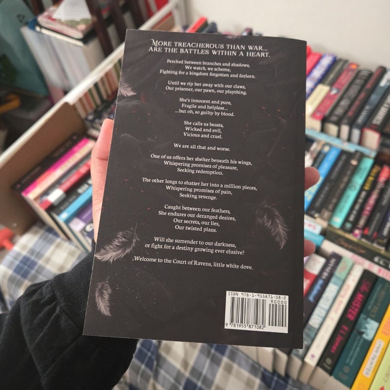 Feathers So Vicious: a Dark Fantasy Romance