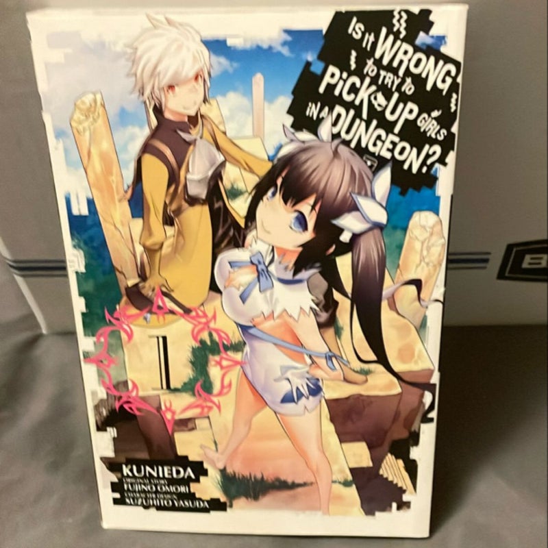 Is It Wrong to Try to Pick up Girls in a Dungeon?, Vol. 1 (manga)