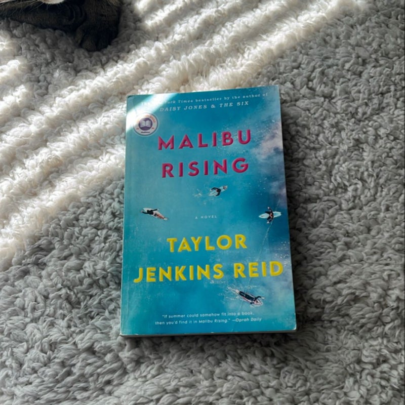 Malibu Rising