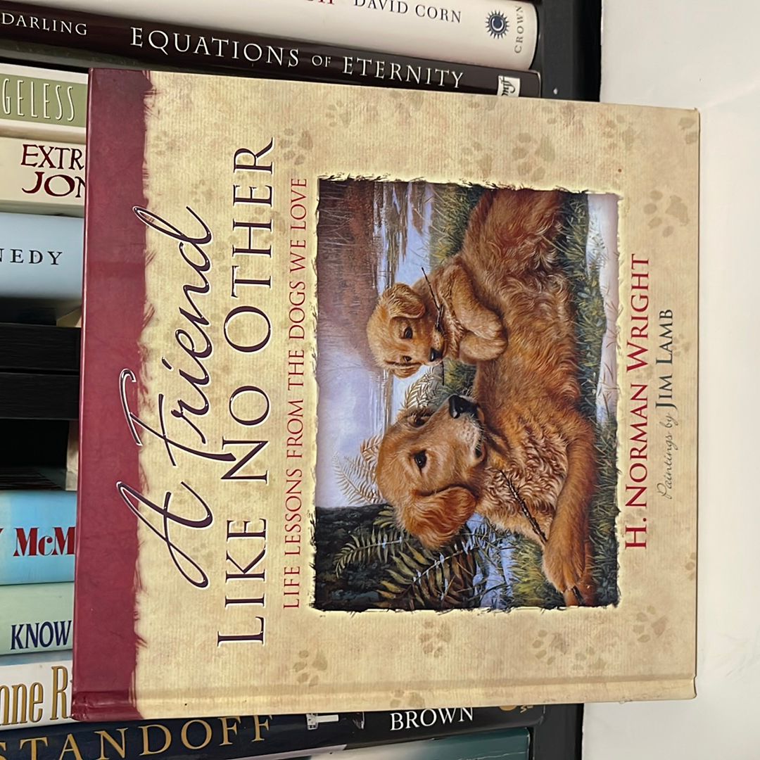 A Friend Like No Other