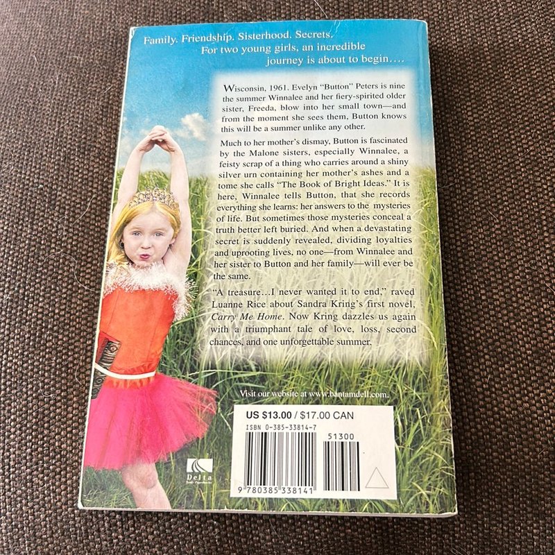 The Book of Bright Ideas