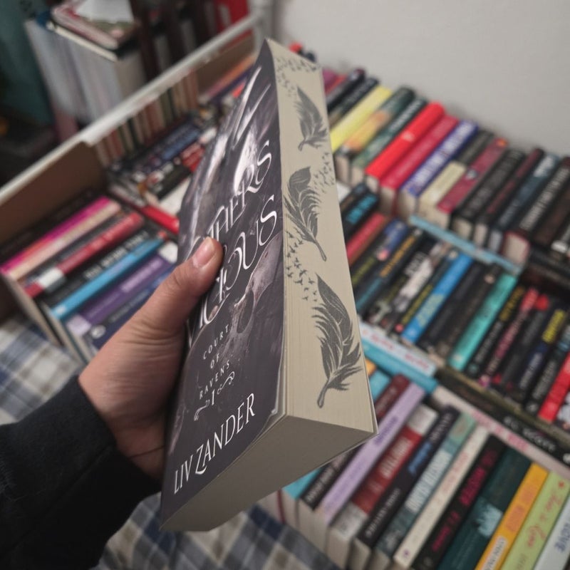 Feathers So Vicious: a Dark Fantasy Romance