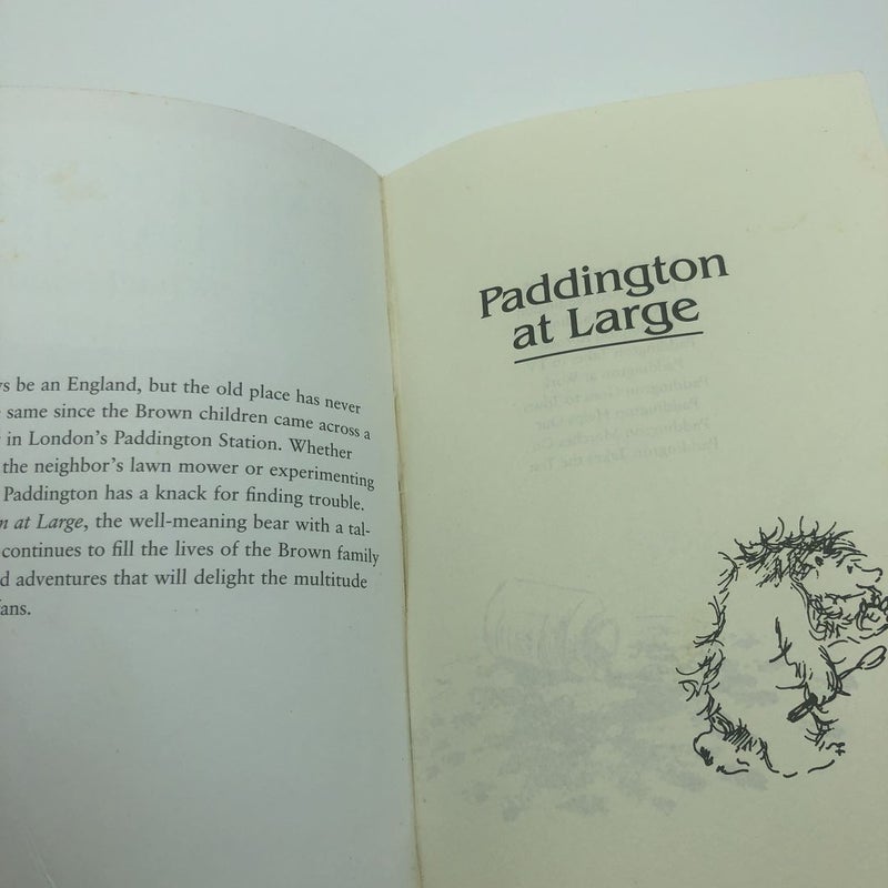 Paddington at Large