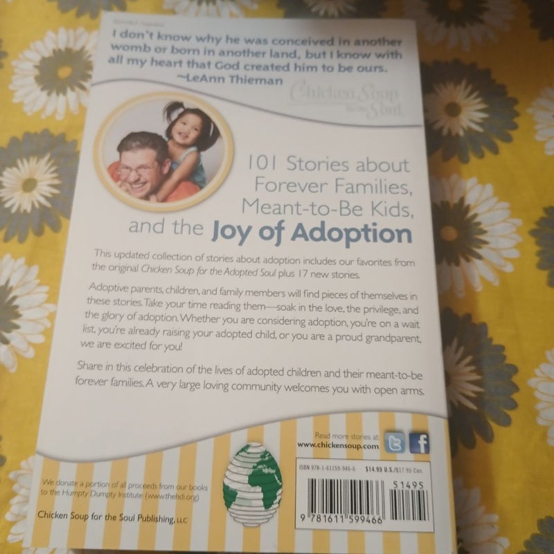 Chicken Soup for the Soul: the Joy of Adoption