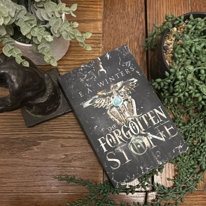The Forgotten Stone by E. A. Winters, Paperback | Pangobooks