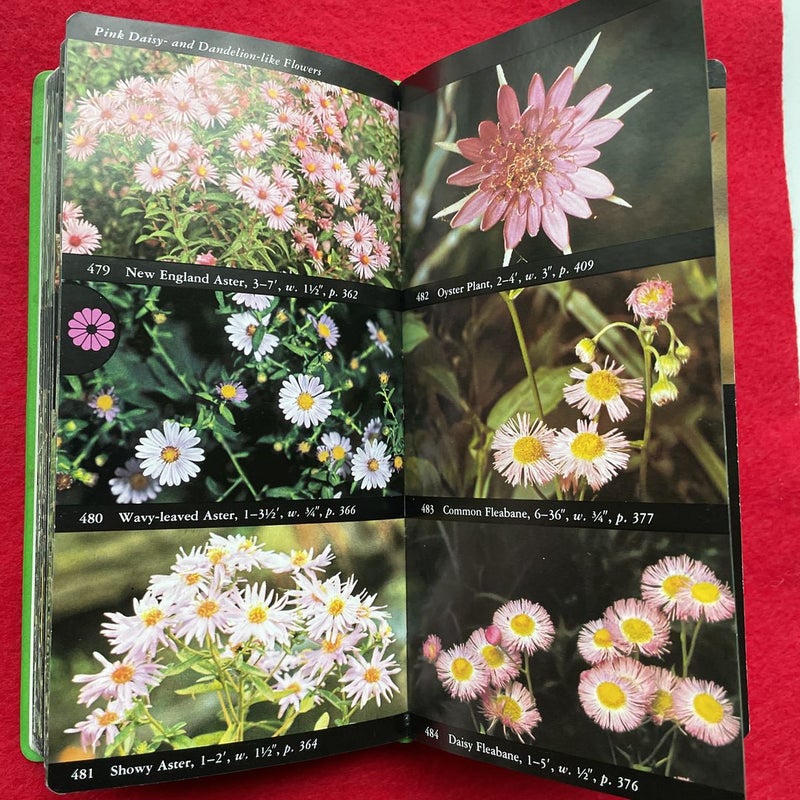 The Audubon Society field guide to North American wildflowers