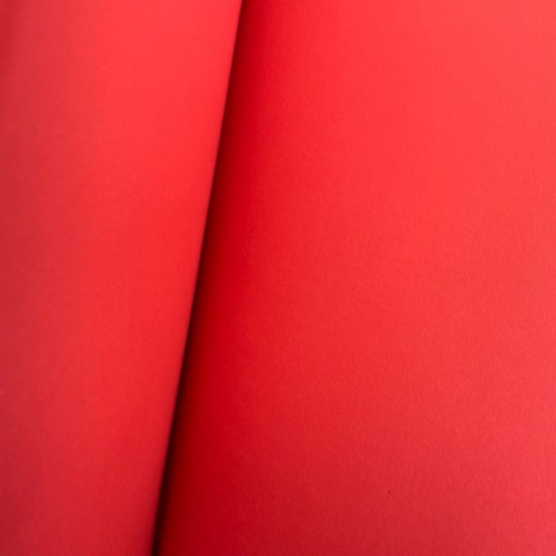 The Scarlet Letter 