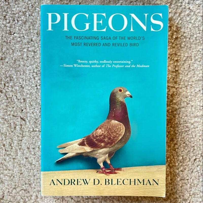 Pigeons