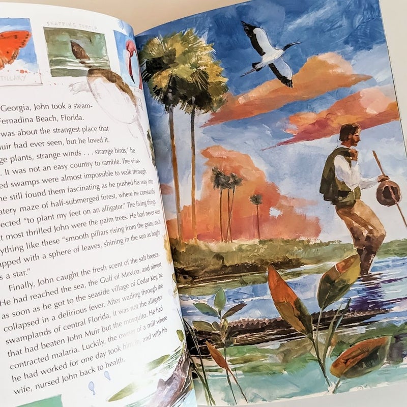 John Muir: Candlewick Biographies America's First Environmentalist