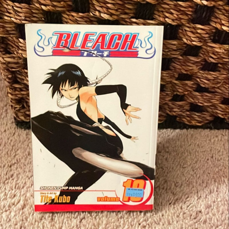 Bleach, Vol. 18