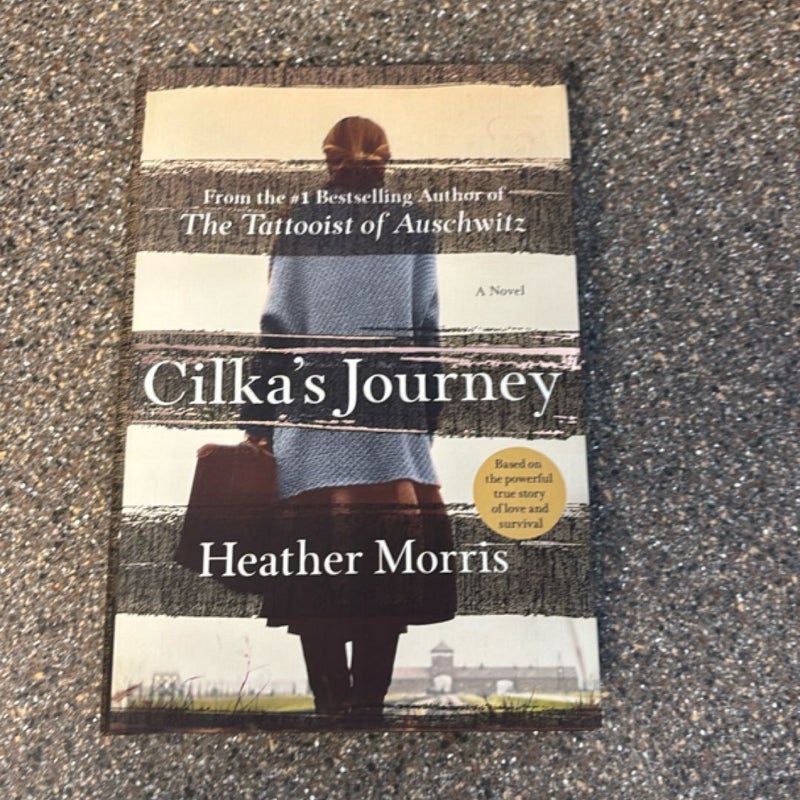 Cilka's Journey
