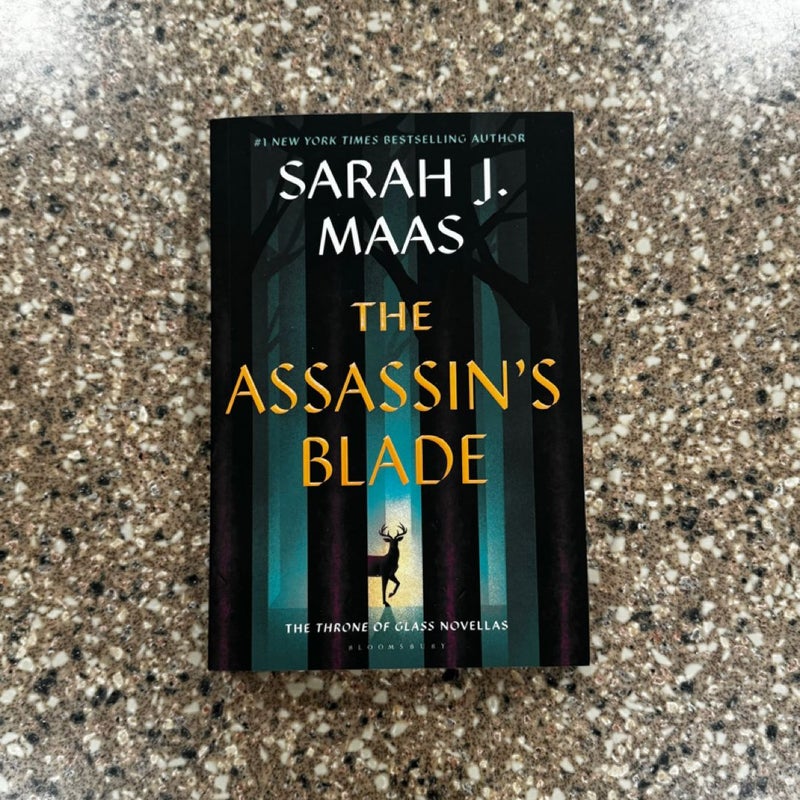 The Assassins Blade