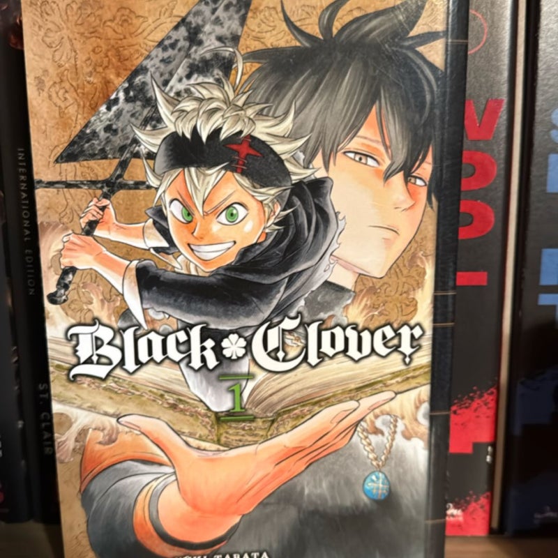 Black Clover, Vol. 1