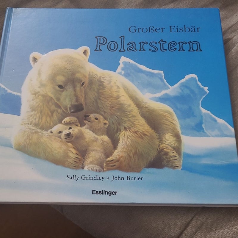 Grober Eisbar Polarstern