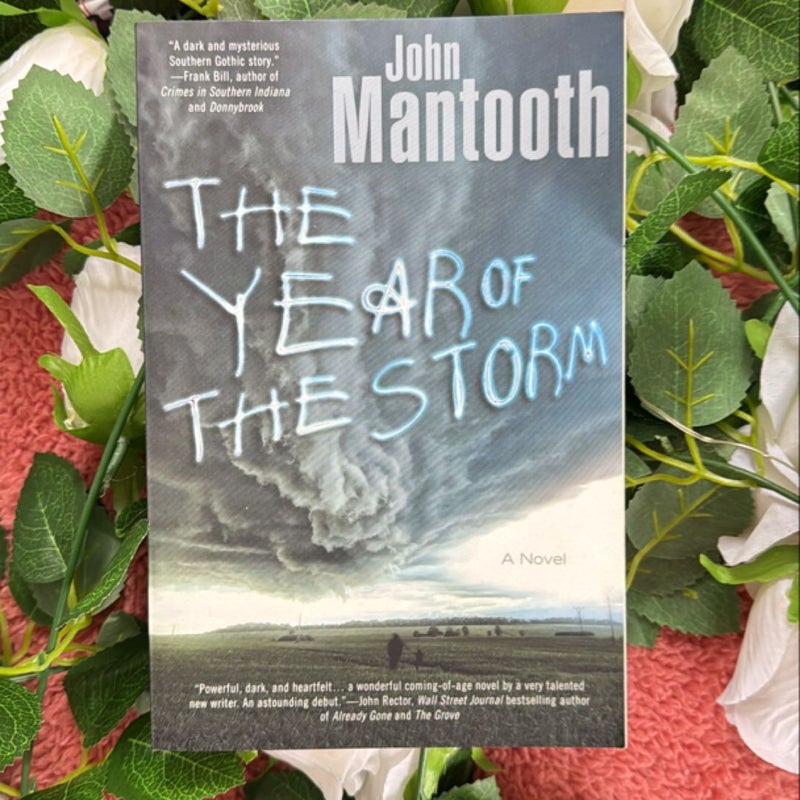 The Year of the Storm