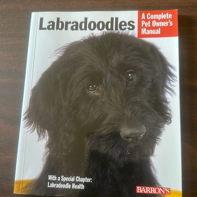 Labradoodles