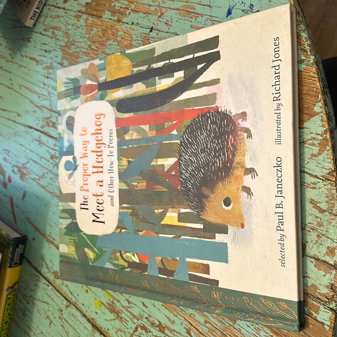 The Proper Way to Meet a Hedgehog and Other How-To Poems