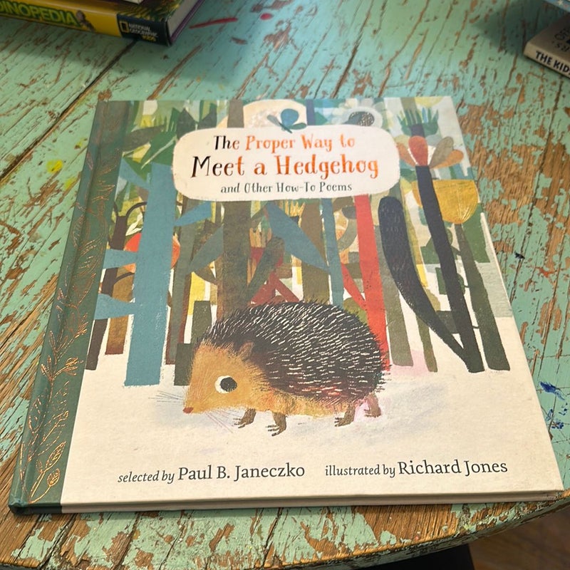 The Proper Way to Meet a Hedgehog and Other How-To Poems