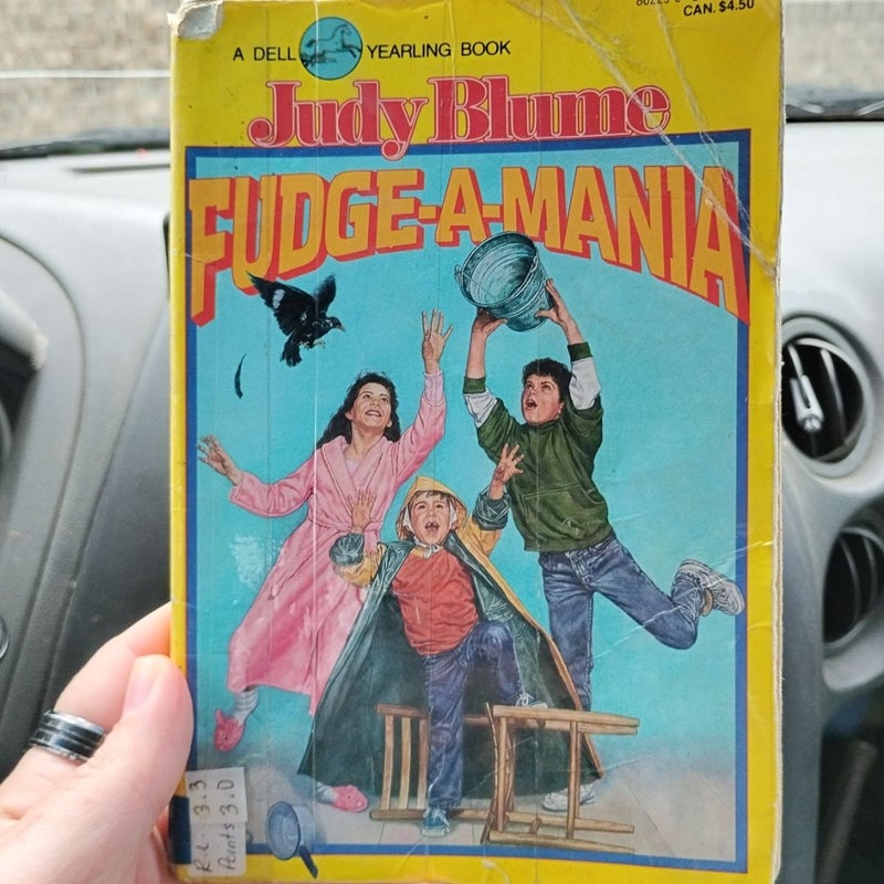 Fudge-a-mania