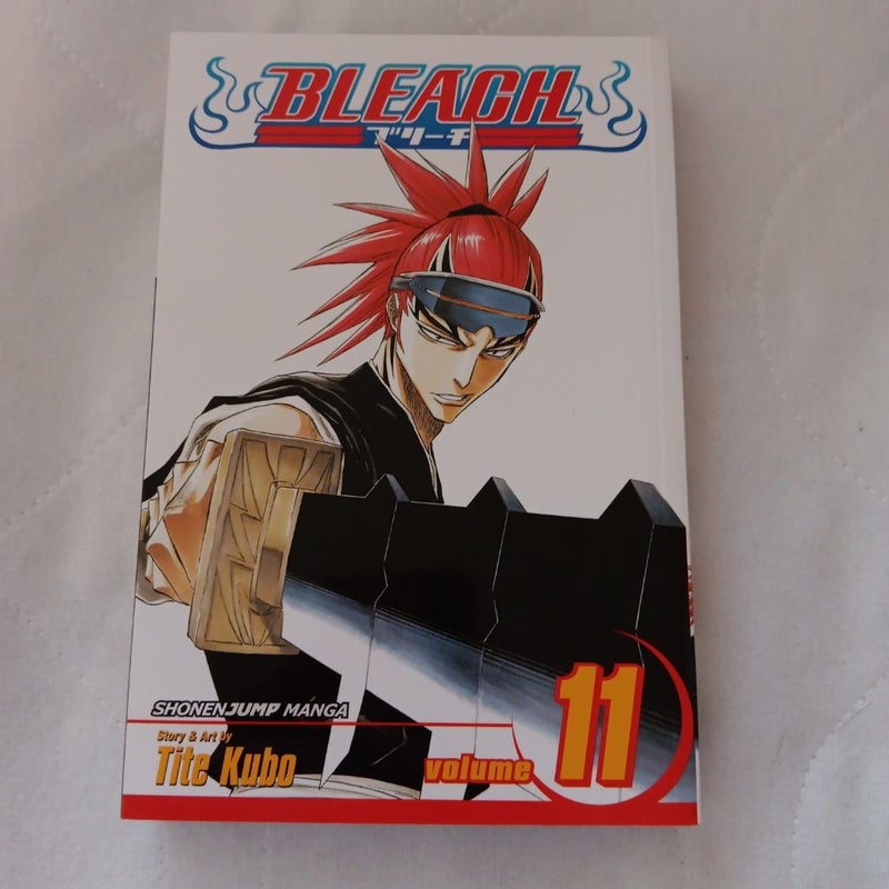 Bleach, Vol. 11