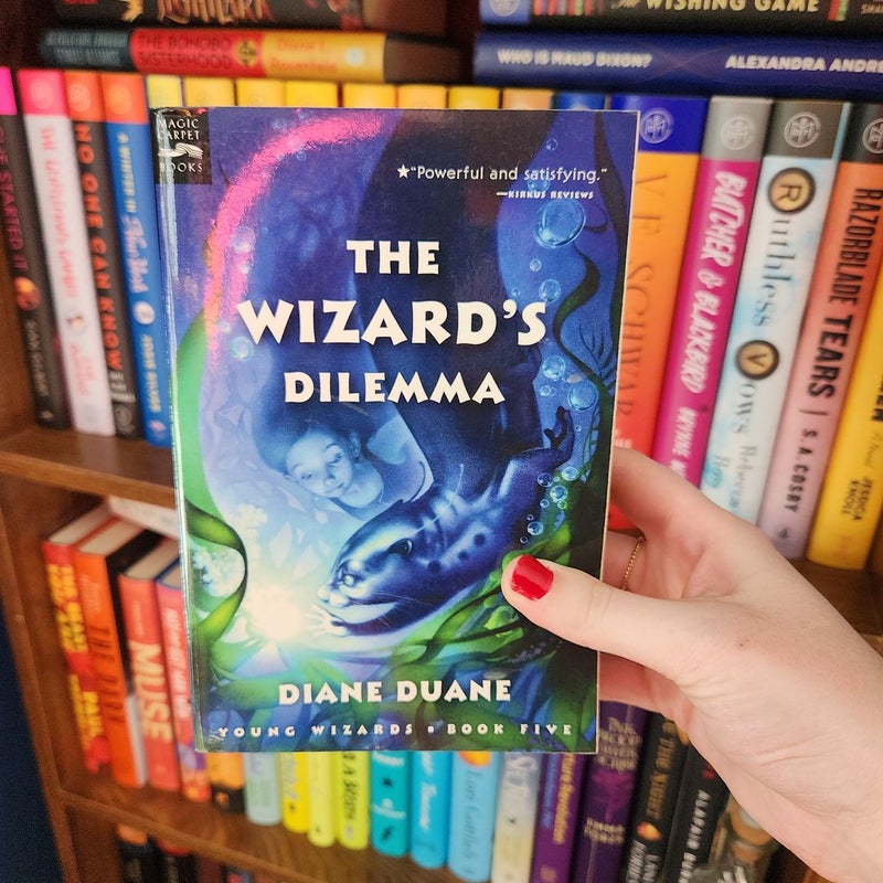 The Wizard's Dilemma (digest)